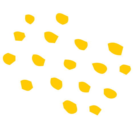 shape yellow 11 Trang chủ 2